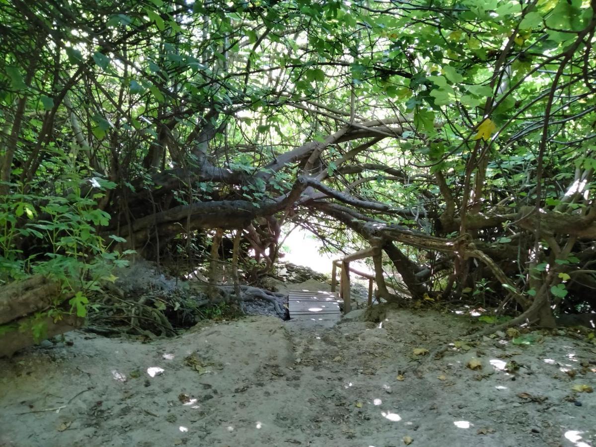 Cuevas del Campo Alojamiento Rural, Cueva De La Abuela מראה חיצוני תמונה